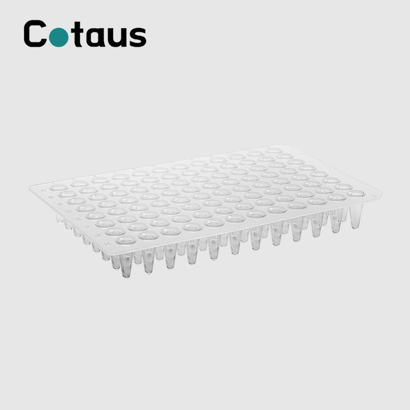 96 Well 0.1ml გამჭვირვალე No Skirt PCR Plate